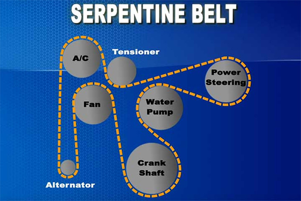 Serpentine Belt Example